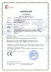 China Guangdong Dapeng Amusement Technology Co., Ltd. certification